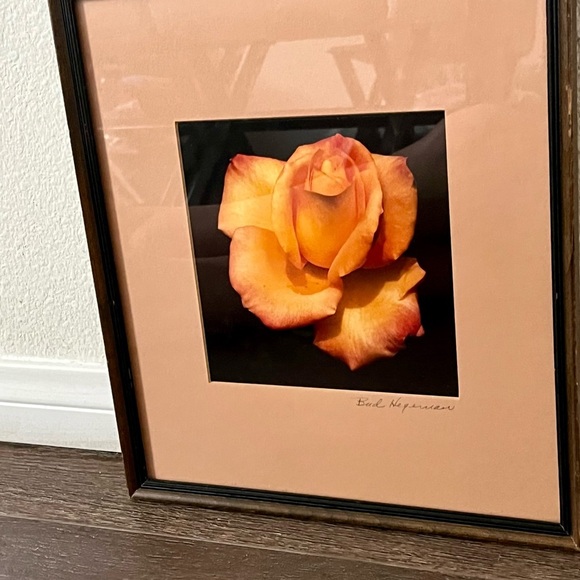 Framed Peach Rose Photograph By Bud Hereman Wall Art Decor 12/13 Inch - Picture 13 of 14